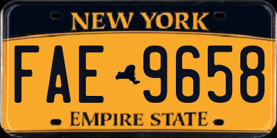 NY license plate FAE9658