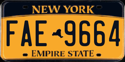 NY license plate FAE9664