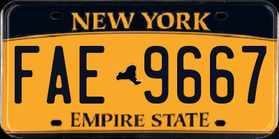 NY license plate FAE9667