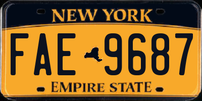 NY license plate FAE9687