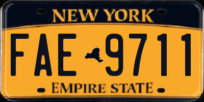 NY license plate FAE9711