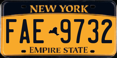 NY license plate FAE9732