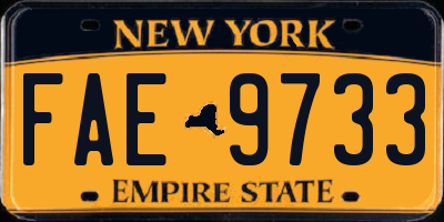 NY license plate FAE9733
