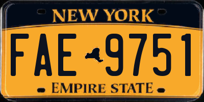 NY license plate FAE9751