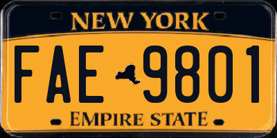 NY license plate FAE9801