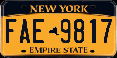 NY license plate FAE9817