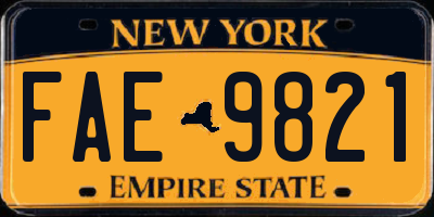 NY license plate FAE9821