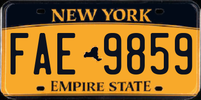 NY license plate FAE9859