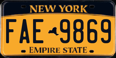 NY license plate FAE9869