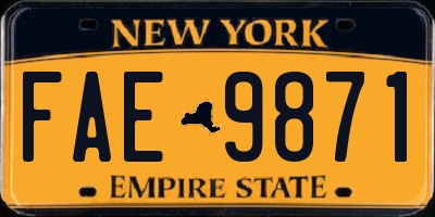 NY license plate FAE9871