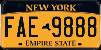 NY license plate FAE9888