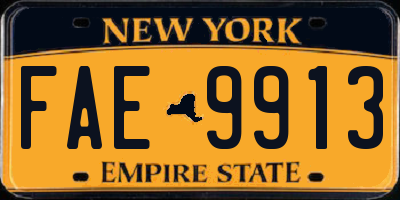 NY license plate FAE9913
