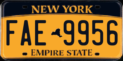 NY license plate FAE9956