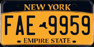 NY license plate FAE9959