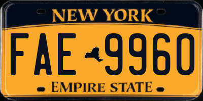 NY license plate FAE9960
