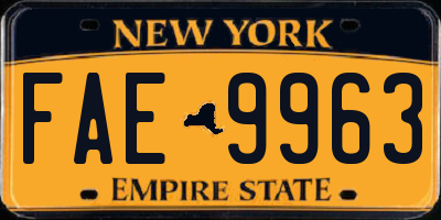 NY license plate FAE9963