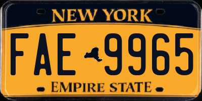 NY license plate FAE9965