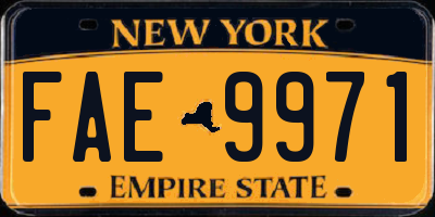 NY license plate FAE9971