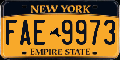 NY license plate FAE9973