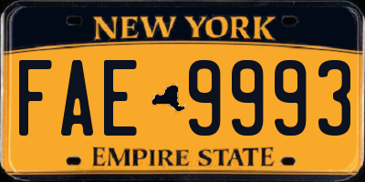 NY license plate FAE9993