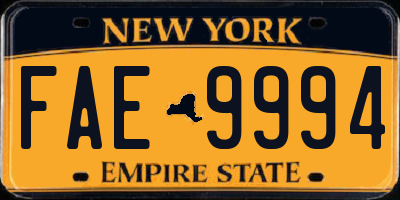 NY license plate FAE9994