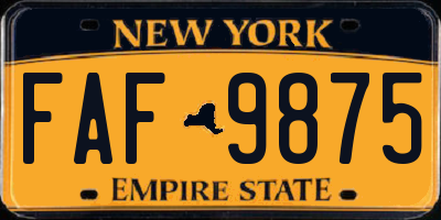 NY license plate FAF9875