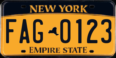 NY license plate FAG0123