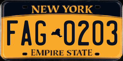 NY license plate FAG0203