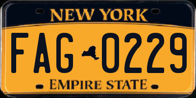 NY license plate FAG0229