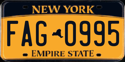 NY license plate FAG0995