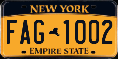 NY license plate FAG1002