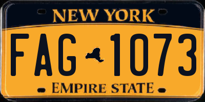 NY license plate FAG1073