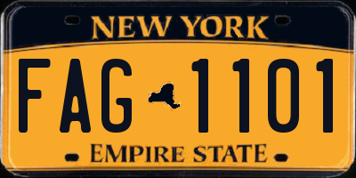 NY license plate FAG1101