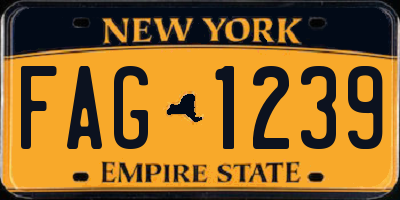 NY license plate FAG1239