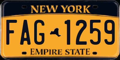 NY license plate FAG1259