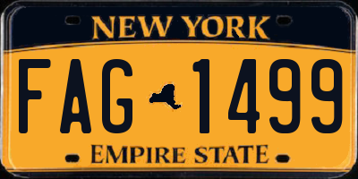 NY license plate FAG1499
