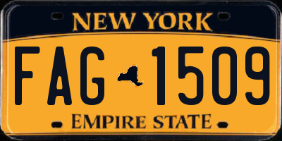 NY license plate FAG1509