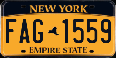 NY license plate FAG1559