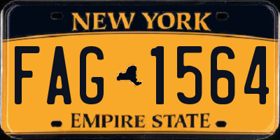 NY license plate FAG1564