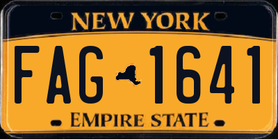 NY license plate FAG1641