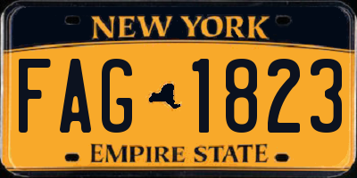 NY license plate FAG1823