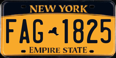 NY license plate FAG1825