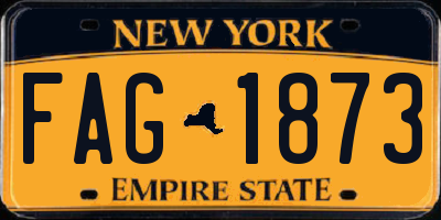 NY license plate FAG1873