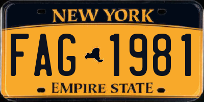 NY license plate FAG1981