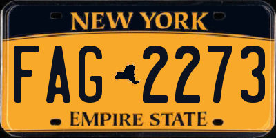 NY license plate FAG2273