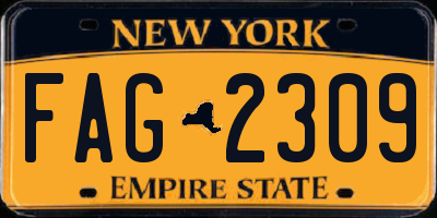 NY license plate FAG2309