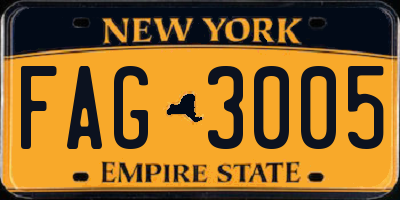NY license plate FAG3005