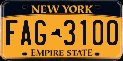 NY license plate FAG3100