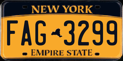 NY license plate FAG3299