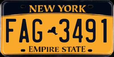 NY license plate FAG3491